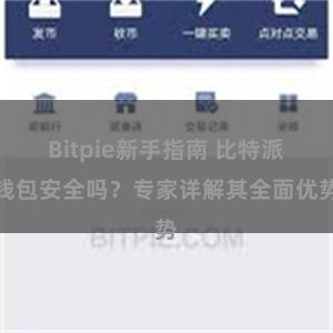 Bitpie新手指南 比特派钱包安全吗？专家详解其全面优势