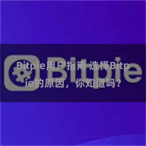 Bitpie用户指南 选择Bitpie的原因，你知道吗？