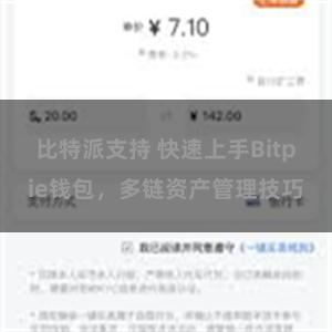 比特派支持 快速上手Bitpie钱包，多链资产管理技巧