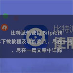 比特派热钱包 Bitpie钱包最新版本下载教程及功能亮点，尽在一篇文章中详解