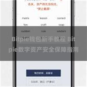 Bitpie钱包新手教程 Bitpie数字资产安全保障指南