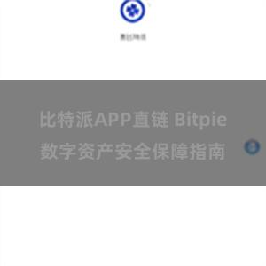 比特派APP直链 Bitpie数字资产安全保障指南