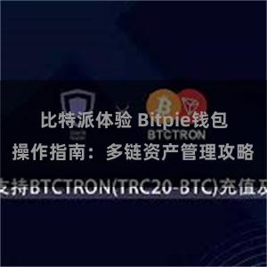 比特派体验 Bitpie钱包操作指南：多链资产管理攻略