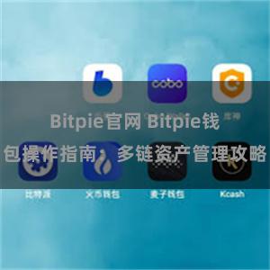 Bitpie官网 Bitpie钱包操作指南：多链资产管理攻略