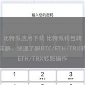 比特派应用下载 比特派钱包转账教程详解，快速了解BTC/ETH/TRX转账操作