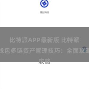 比特派APP最新版 比特派钱包多链资产管理技巧：全面攻略