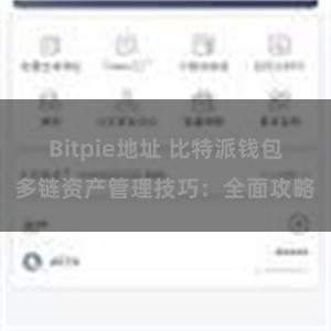 Bitpie地址 比特派钱包多链资产管理技巧：全面攻略