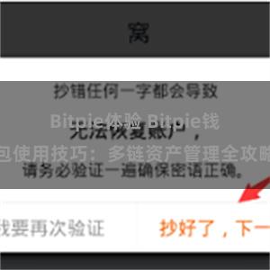 Bitpie体验 Bitpie钱包使用技巧：多链资产管理全攻略