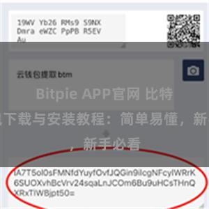 Bitpie APP官网 比特派钱包下载与安装教程：简单易懂，新手必看