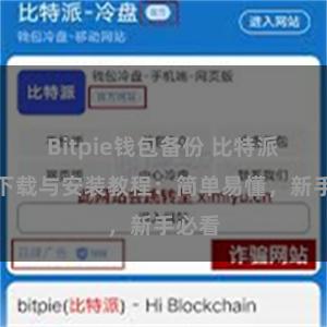 Bitpie钱包备份 比特派钱包下载与安装教程：简单易懂，新手必看