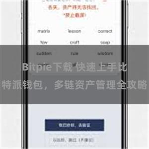 Bitpie下载 快速上手比特派钱包，多链资产管理全攻略