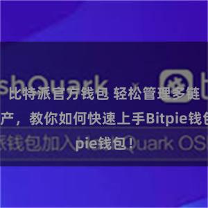 比特派官方钱包 轻松管理多链资产，教你如何快速上手Bitpie钱包！