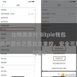 比特派支付 Bitpie钱包：资产百分之百自主掌控，安全可靠！