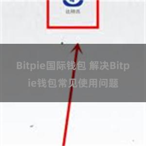 Bitpie国际钱包 解决Bitpie钱包常见使用问题