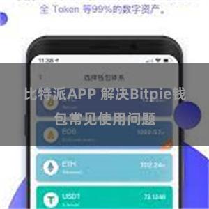 比特派APP 解决Bitpie钱包常见使用问题