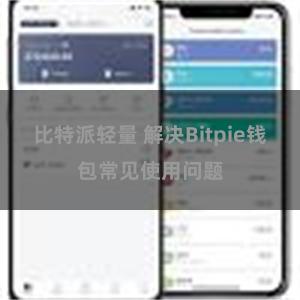 比特派轻量 解决Bitpie钱包常见使用问题