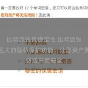 比特派钱包稳定性 比特派钱包：强大的隐私保护功能，让您资产更安全