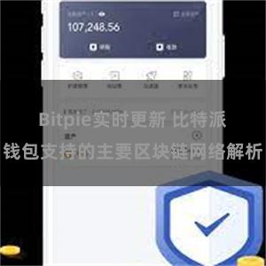 Bitpie实时更新 比特派钱包支持的主要区块链网络解析