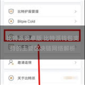 比特派安卓版 比特派钱包支持的主要区块链网络解析