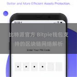 比特派官方 Bitpie钱包支持的区块链网络解析