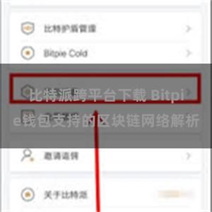 比特派跨平台下载 Bitpie钱包支持的区块链网络解析