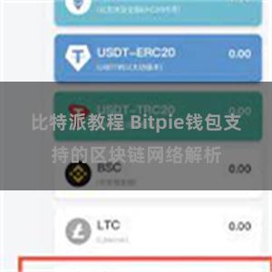 比特派教程 Bitpie钱包支持的区块链网络解析