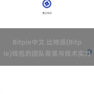 Bitpie中文 比特派(Bitpie)钱包的团队背景与技术实力