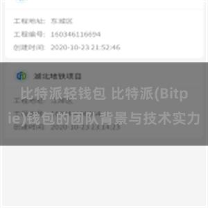 比特派轻钱包 比特派(Bitpie)钱包的团队背景与技术实力