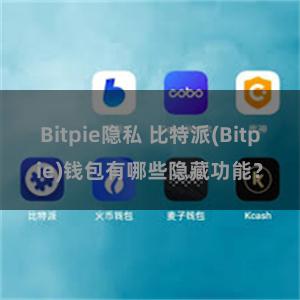 Bitpie隐私 比特派(Bitpie)钱包有哪些隐藏功能？