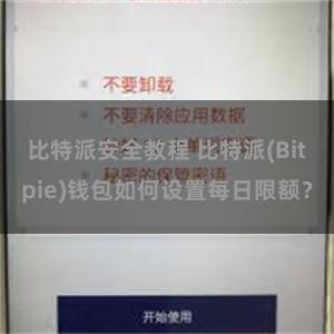 比特派安全教程 比特派(Bitpie)钱包如何设置每日限额？