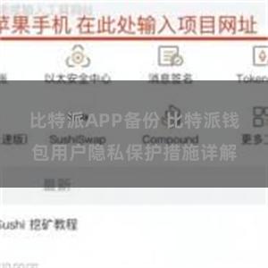 比特派APP备份 比特派钱包用户隐私保护措施详解