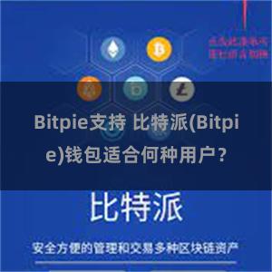 Bitpie支持 比特派(Bitpie)钱包适合何种用户？