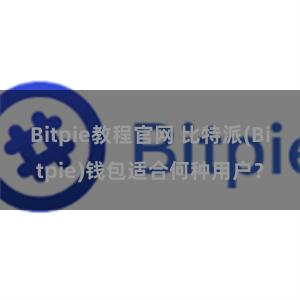 Bitpie教程官网 比特派(Bitpie)钱包适合何种用户？