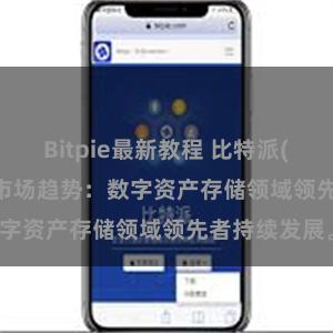 Bitpie最新教程 比特派(Bitpie)钱包市场趋势：数字资产存储领域领先者持续发展。