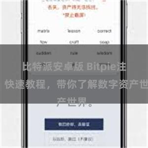 比特派安卓版 Bitpie注册：快速教程，带你了解数字资产世界。