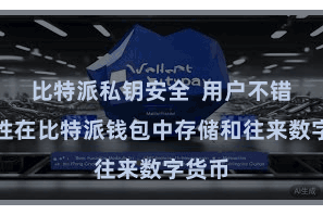 比特派私钥安全  用户不错省心性在比特派钱包中存储和往来数字货币